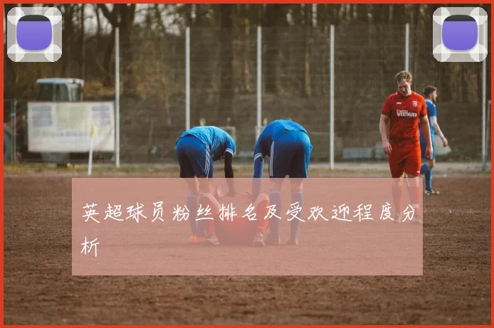 英超球员粉丝排名及受欢迎程度分析