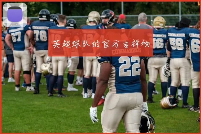 英超球队的官方吉祥物