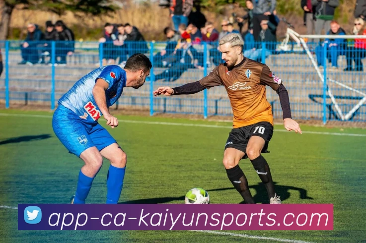 开云app平台生态图